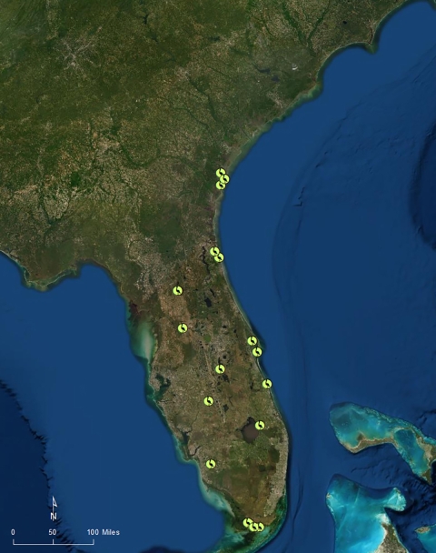 Yellow dots represent wood stork colony locations from 1970 to 1974.