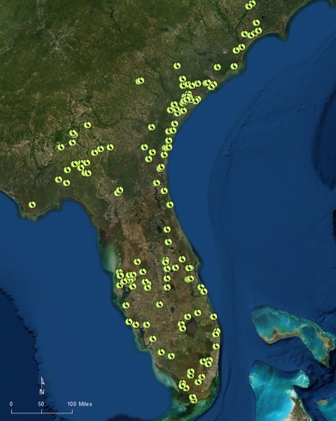 Yellow dots indicate the accumulation of wood stork colony locations from 2015 to 2019.