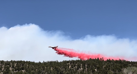 Airplane dropping red cloud on trees