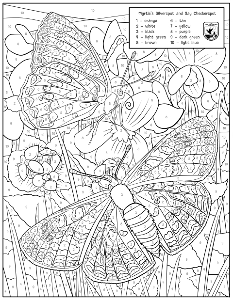 coloring page of myrtle's silverspot and bay checkerspot butterflies