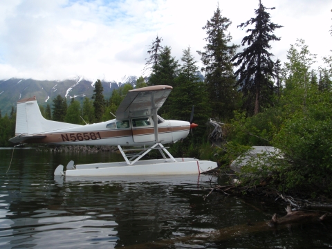 Plane in water