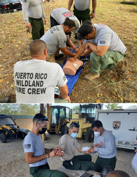 2 photos, top: group with T-shirts that read "Puerto Rico Wildland Fire Crew" around CPR Training Training dummy; bottom: 2 people test a third's vitals; all in masks