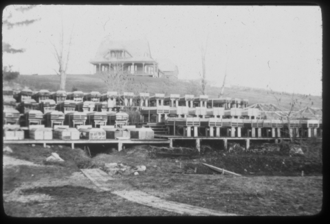 black and white photo shows rows and rows of fry troughs stacked on a hill outside. 