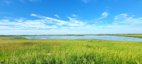 Vibrant green prairie, blue lake, and blue on Huron Wetland Management District