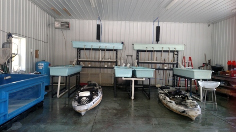 Research facility with water tubs and kayaks