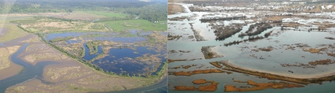 side by side aerial views of a landscape with a dike separating an area of land with pooled water with green foliage from tidewater and one of an estuary. 