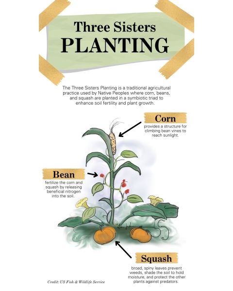Informational graphic with plants, see caption for text