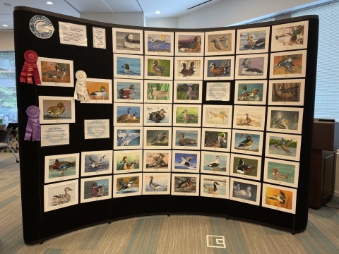 2022 Junior Duck Stamp Traveling Artwork Exhibit