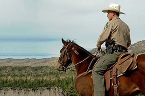 Wildlife Enforcement Officer