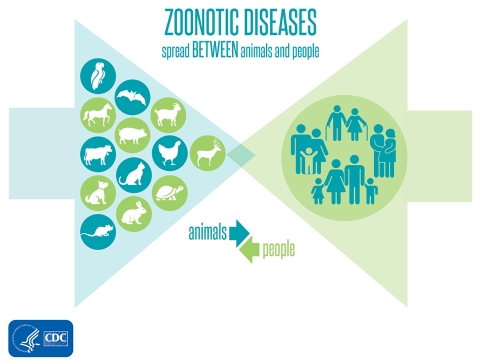 Zoonotic Diseases diagram 