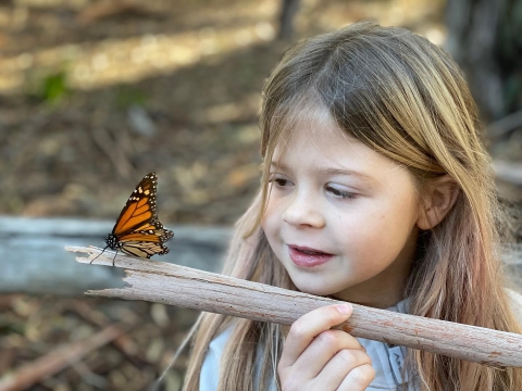 A young girl admiring a monarch butterfly