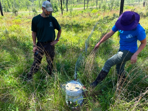 Field Biologists Chris Melder and Tara Pruett, Center for the Environmental Management of Military Lands, inspect a camera snake trap near Fort Polk, Louisiana, May 26, 2022.