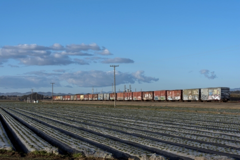 Freight cars near strawberry field