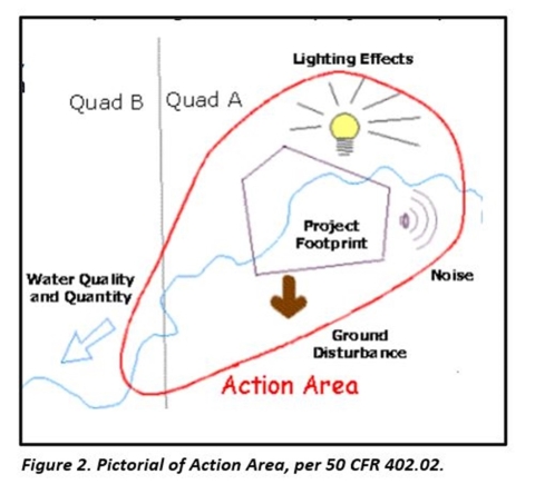 Action Area Pictorial