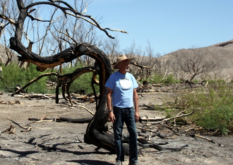 Man standing next to burned tree