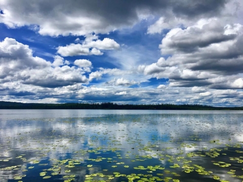 White clouds and azure blue sky are reflected on surface of a lake.