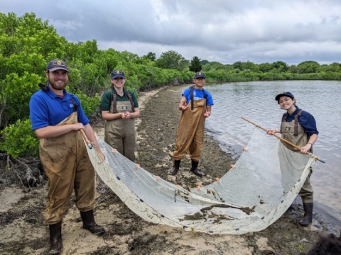 4 interns in Service hats and waders hold a fishing net by a salt pond