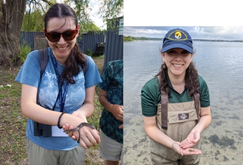 2 side by side images of a woman holding a snake and a crab, respectively. On the left, she is wearing a t-shirt and sunglasses, while on the right she's wearing a USFWS hat and waders and standing in water.