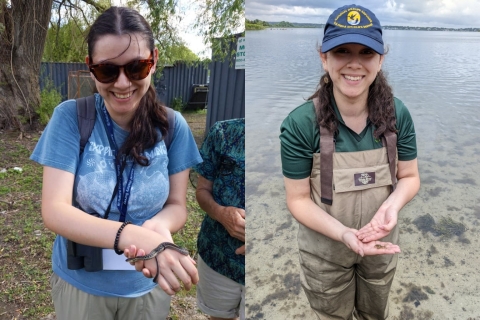 2 side by side images of a woman holding a snake and a crab, respectively. On the left, she is wearing a t-shirt and sunglasses, while on the right she's wearing a USFWS hat and waders and standing in water.