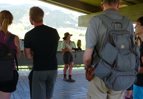 A person holding an owling with a crowd observing.