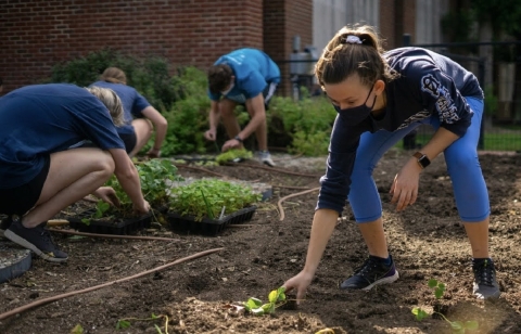 A group of students kneeling as they garden.