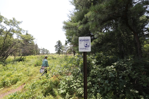 a woman carrying a butterfly net walking past a property boundary sign in a grassy open area.
