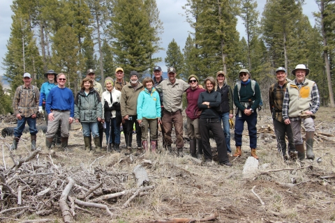Volunteers pose for a picture in the forest after planting aspen seedlings.