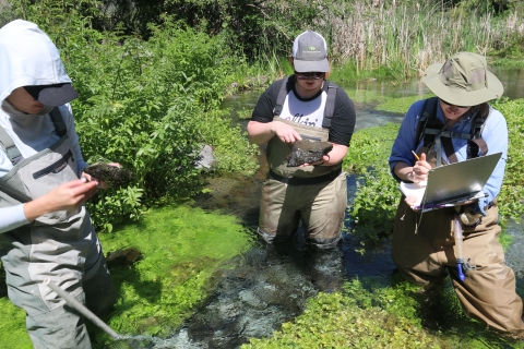 Three biologists can be seen in waders recording field data