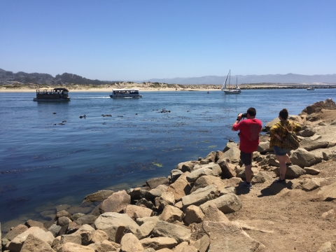 Wildlife watchers on boats and on shore observe a raft of sea otters in Morro Bay, California.