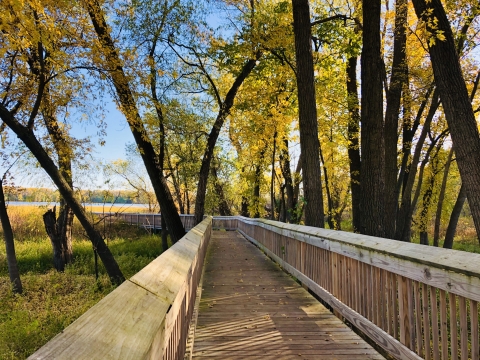 Boardwalk with railings leading to a lake is surrounded by trees during fall season foliage