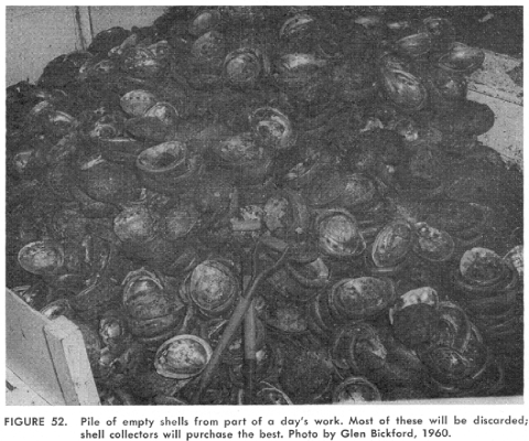 A black and white photo of a large pile of empty shells