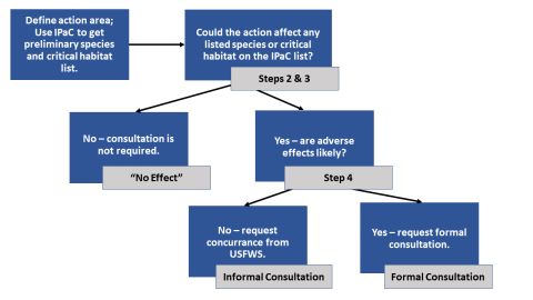 The process of Section 7 consultation explained in a flow chart. 