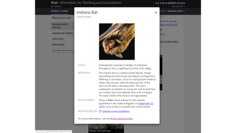 A thumbnail image of a "Species information" page in IPaC 