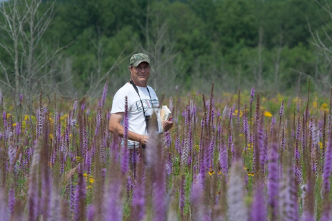 Refuge staff standing in field of dense blazingstar flower with dead trees in background