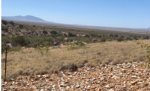 A cattle exclosure in New Mexico