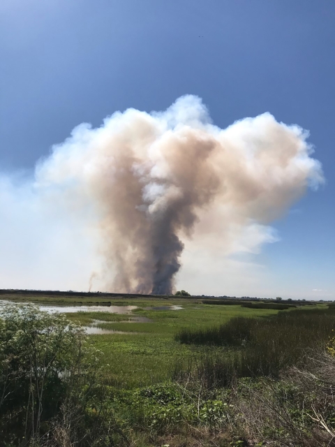 Smoke rises in a column over a meadow with green grass and water