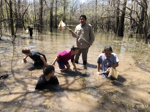 children collect aquatic invertebrates in swamp