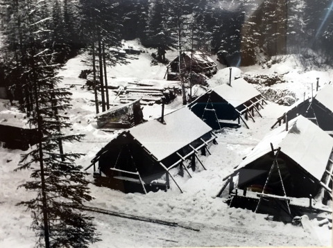 A black and white photo of a winter camp, with 4 tent cabins and outbuildings, conifers and snow surrounding.