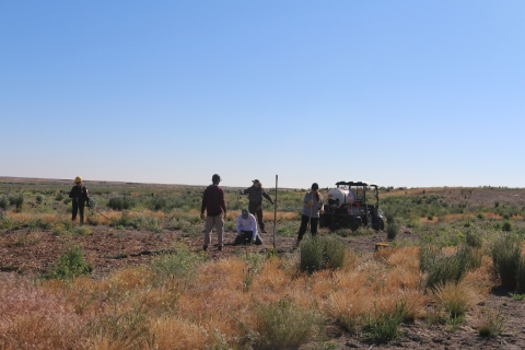 A crew is in the field and one person is kneeling on the ground. 
