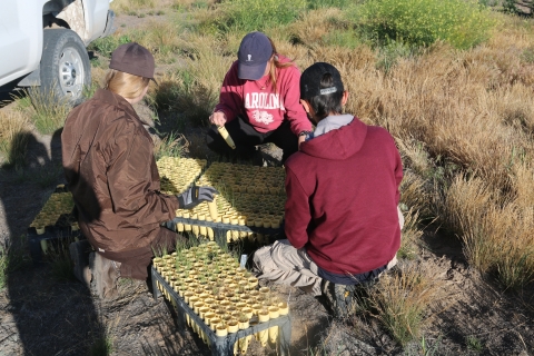 Three people sit with their back's to the camera sorting yellow tubes in a rack. 