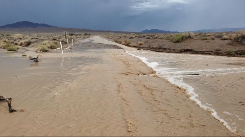 Muddy water moves over a dirt road at Ash Meadows Refuge