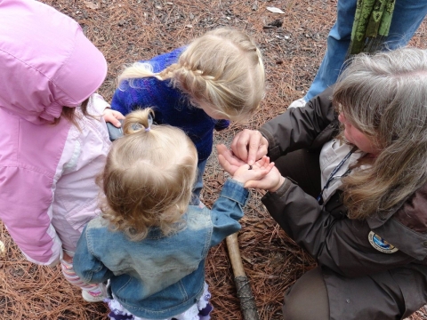 a woman shows three kids a small bug