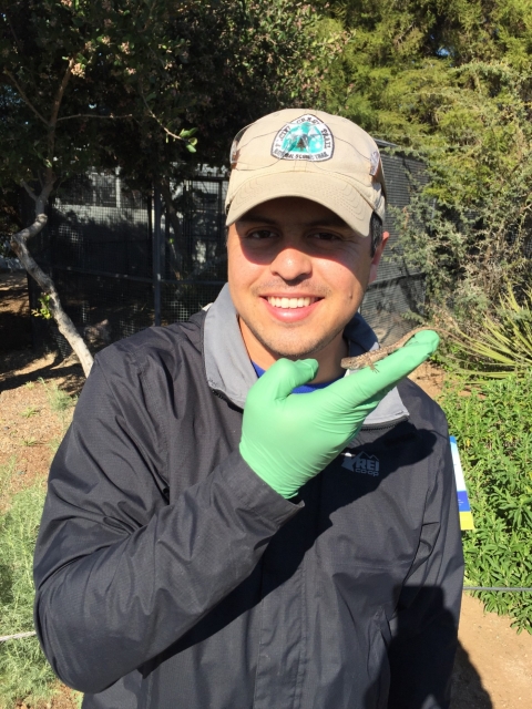 Man wearing a baseball cap smiles at the camera as he holds up his gloved hand that is holding a lizard.