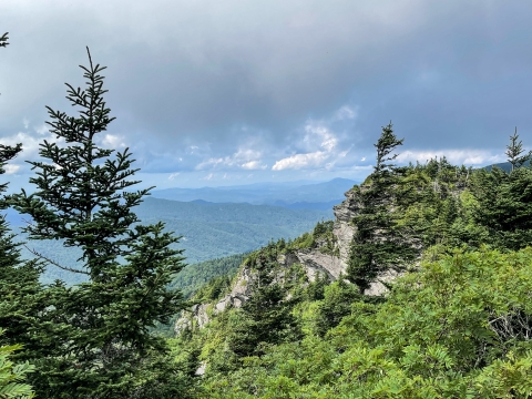 Mountain vista featuring conifer trees, a rocky cliff and rolling, tree covered mountains into the distance