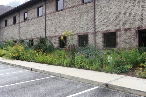 Flower-filled garden in front of a brick building