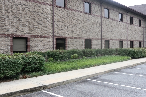 Office building with landscaping in front