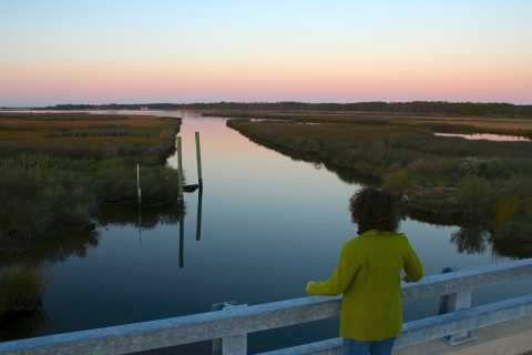 A woman in a bright green jacket with large curly hair looks off the edge of a bridge. The sun sets behind the horizon of a marsh. The purple pink orange and blues are reflected in the still water of the marsh. 