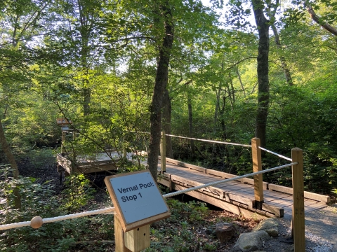 A boardwalk weaves through a sunny forest. Along the boardwalk is a rope railing. Attached to the railing is a sign reading "Vernal Pool: Stop 1." Next to the sign is a round bead. 