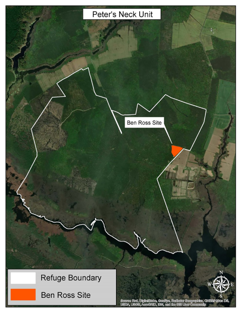 The outline of the map of the boundary of Blackwater National Wildlife Refuge. To the top right of that map near an open field is a 10 acre orange parcel labeled "Ben Ross Site." The entire map reads "Peter's Neck Unit."