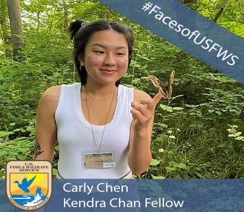 A girl looking at a butterfly that is perched on her finger. A banner in the top right corner says "#Faces of the Fish and Wildlife Service. A banner across the bottom reads "Carly Chen, Kendra Chan Fellow". An image of the U.S. Fish and Wildlife Service logo is in the bottom right corner.